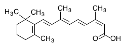 molecule